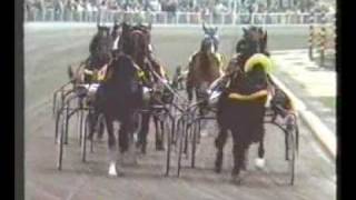 Elitloppet 1980  Ideal du Gazeau  Eugene Lefévre [upl. by Nimad]