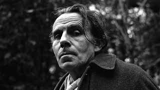 Entretiens avec le professeur Y  Troisième partie  Louis Ferdinand Céline [upl. by Cobb]