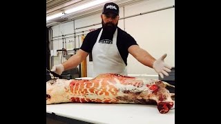 The Best How to Butcher a Deer Video EVER by The Bearded Butchers at Whitefeather Meats [upl. by Ahsuatan]