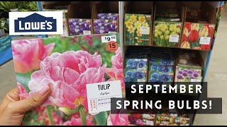 Lowes Garden Center Fall Planting Bulbs [upl. by Granniah331]