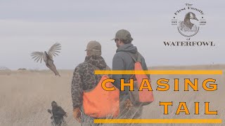 The First Family of Waterfowl Season 2 Episode 5  Chasing Tail [upl. by Lolita]