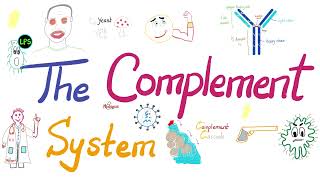 The Complement System  The most COMPREHENSIVE Explanation [upl. by Ankney]