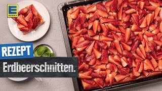 Leckere Erdbeerschnitten  Erdbeerkuchen mit Biskuitboden vom Blech [upl. by Wappes199]