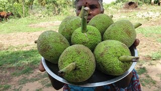 Amazing Breadfruit Curry Jack Fruit Biryani Recipe  Food Money Food [upl. by Joaquin]