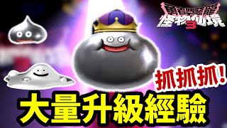 《勇者鬥惡龍 怪物仙境3》 金屬史萊姆系列 大量升級經驗 抓抓抓 [upl. by Kelleher177]