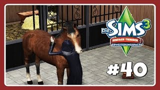 Der Tod kommt vorbei  Lets Play Die Sims 3 Einfach Tierisch Part 40 [upl. by Brit]