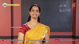 KITE VICTERS STD 08 Biology Class 09 First Bellഫസ്റ്റ് ബെല്‍ [upl. by Bluhm]