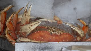 CAs commercial Dungeness crab season will end early to protect whales [upl. by Neerihs21]