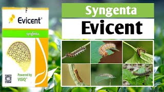 Evicent insecticide Evicent Syngenta insecticideEmamectin Benzoate 5 ww  Lufenuron 40ww WG [upl. by Mehsah]