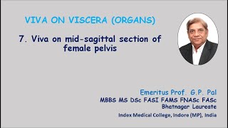 7 Viva on midsagittal section of female pelvis [upl. by Nerad]