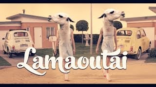 Lamaoutai  Clip Stromae Papaoutai Remix [upl. by Nawaj]