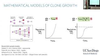 Estimating clonal dynamics using coalescent theory and branching processes [upl. by Nodnarg]