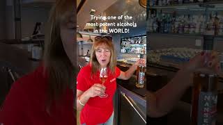 Trying the STRONGEST aquavit alcohol in the WORLD on my Norwegian HX Hurtigruten cruise ship [upl. by Pollie143]