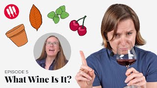 Learn by Tasting ep5 Wine Folly [upl. by Digdirb836]