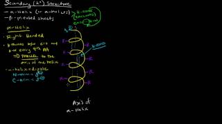 Protein Structure Part 2 of 4  Secondary Structure  Alpha Helix [upl. by Wilden]