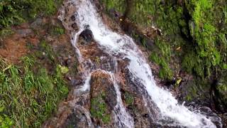 CASCADA DEL AMOR MUNICIPIO DE JARDÍN ANTIOQUIA 💚 [upl. by Ihcur]