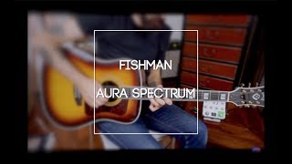 Amplificare BENE la chitarra acustica Fishman Aura Spectrum [upl. by Port]