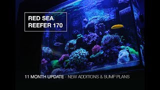 Red Sea Reefer 170  11 Months  NEW ADDITIONS amp SUMP UPGRADE PLANS [upl. by Nnaaras]