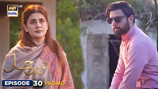 New Noor Jahan Episode 30  Promo  ARY Digital [upl. by Edie922]