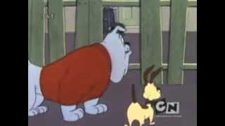 Looney Tunes Chester y Spike en Español [upl. by Briney422]