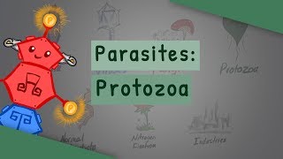 Parasites Protozoa classification structure life cycle [upl. by Ahsan838]