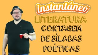 Contagem de Sílabas Poéticas  Literatura  Pedro Gonzaga  Instantâneo [upl. by Ataner]