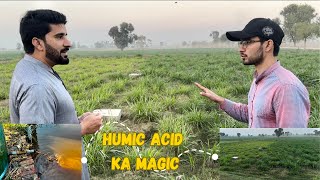 Benefits Of Humic Acid  Personal Experience 100 Recommended  Ahtisham Elahi [upl. by Ocirnor549]