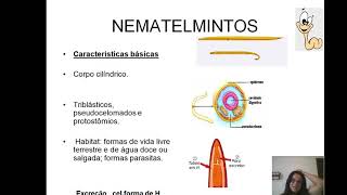 4 NEMATELMINTOS OU ASQUELMINTOS [upl. by Sophey232]