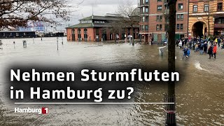 Mehrere Sturmfluten binnen weniger Tage  nehmen die Hochwasser zu [upl. by Horten]