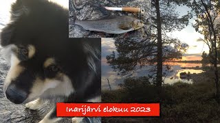 Inarijärvi elokuu 2023 [upl. by Held851]