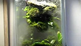 Terrarium vernevelaar demonstratie [upl. by Guinn]