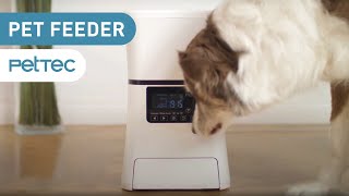 PetTec Pet Feeder Futterautomat für Hund amp Katze mit AppSteuerung amp Timer [upl. by Lindblad]