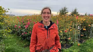 Floret Farm Tour Fall in the Dahlia Seedling Patch [upl. by Sidell]