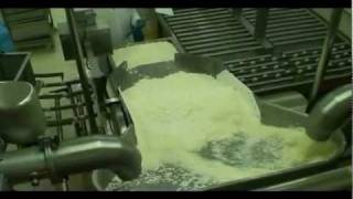 Haloumi cheese production line [upl. by Gamin]