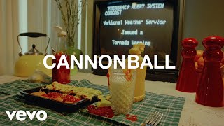 Michigander  Cannonball Official Music Video [upl. by Xanthus]