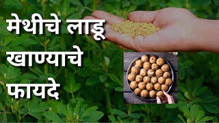 मेथी लाडू Benefits in Marathi  Benefits of Methi Ladoo [upl. by Gaudette459]