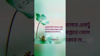 Islamic caption status video❤️islamic captionislamic caption bangla [upl. by Ralph944]