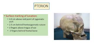 PTERION Anatomy [upl. by Dlanger]