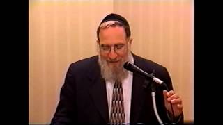 Rabbi Dovid Weinberger [upl. by Vere809]