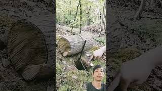 Survival skills for trapping animalssurvival trapping [upl. by Sande428]