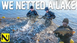 We Netted A Carp Fishery  An INSANE Amount Of Fish [upl. by Aida]