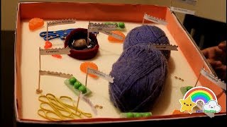 5th Grade SCIENCE PROJECTPlant Cell [upl. by Metcalf]