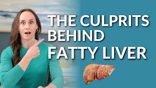 Fatty Liver  2 Main CAUSES to this Diabetes Precursor [upl. by Canter437]