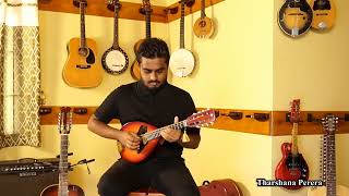 Thaniwennata Mage Lowe by Tharshana Perera mandolin viral music world [upl. by Beacham]