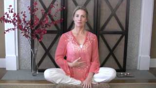 Breath Of Fire Kundalini Yoga Basics [upl. by Wyck]