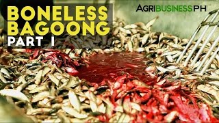 Boneless Bagoong Part 1  Bagoong Industry in the Philippines  Agribusiness Philippines [upl. by Ytisahcal]