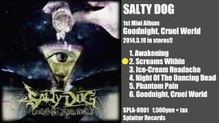 【SALTY DOG】2014319 Release 「Goodnight Cruel World」 Trailer [upl. by Almat]