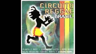 circuito reggae vol 1 cd completo [upl. by Robinet775]