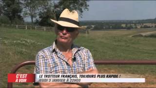 EXTRAIT  Le trotteur français toujours plus rapide  Equidia Live [upl. by Sylvia]