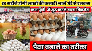 Egg ka wholesale business kaise kareकम पूजी मै अंडे का व्यपार केसे शुरू करेNEWIDEAS143 [upl. by Atinreb]